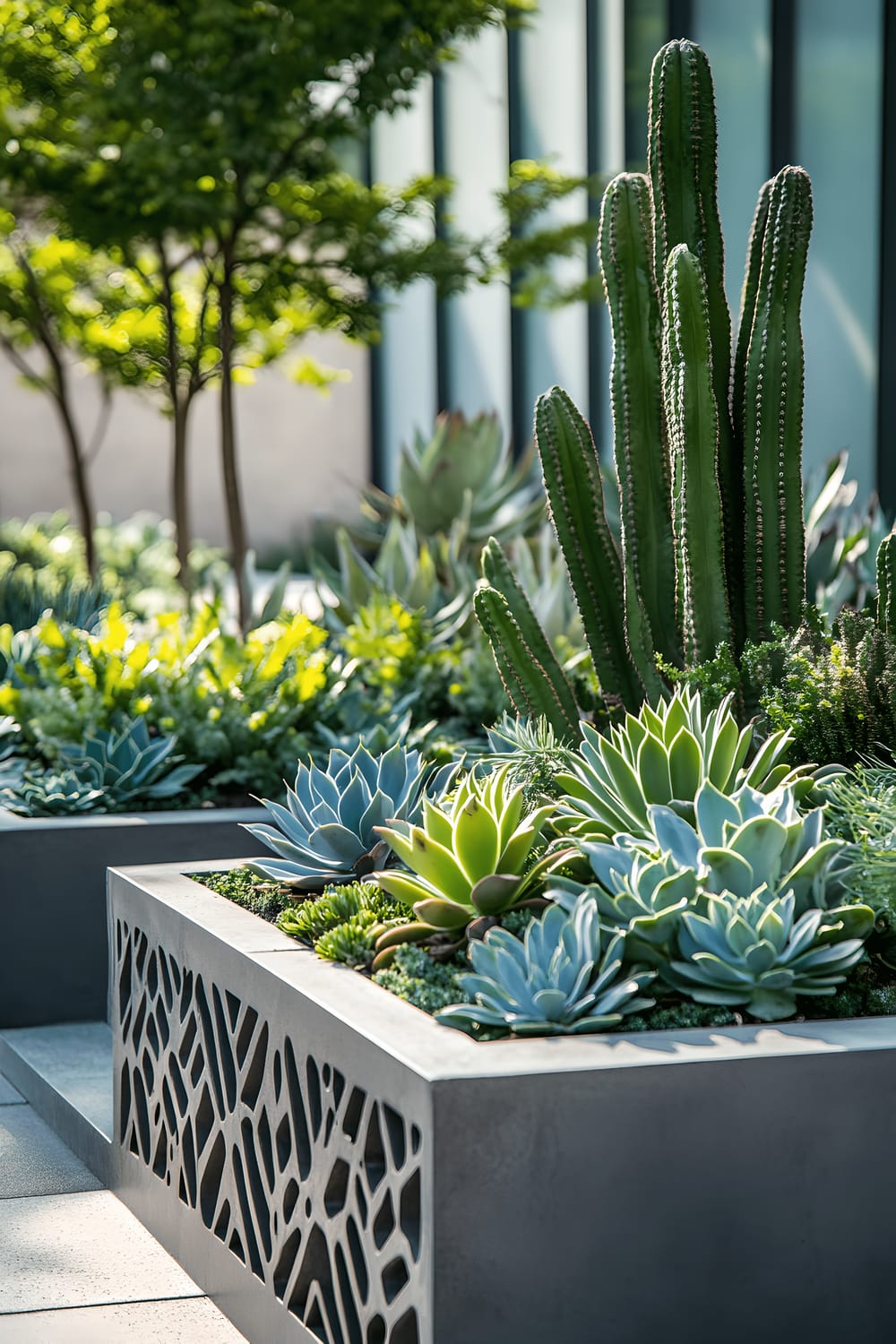 A stylish urban courtyard garden designed with a layered botanical architecture featuring low succulents like Echeveria and Sedum, mid-height agaves and echeverias, and towering saguaro cacti. The plants are arranged in sleek concrete planters with geometric patterns, accompanied by minimalist metal sculptures and ambient solar lighting, captured in broad daylight, with a dominant green color palette.