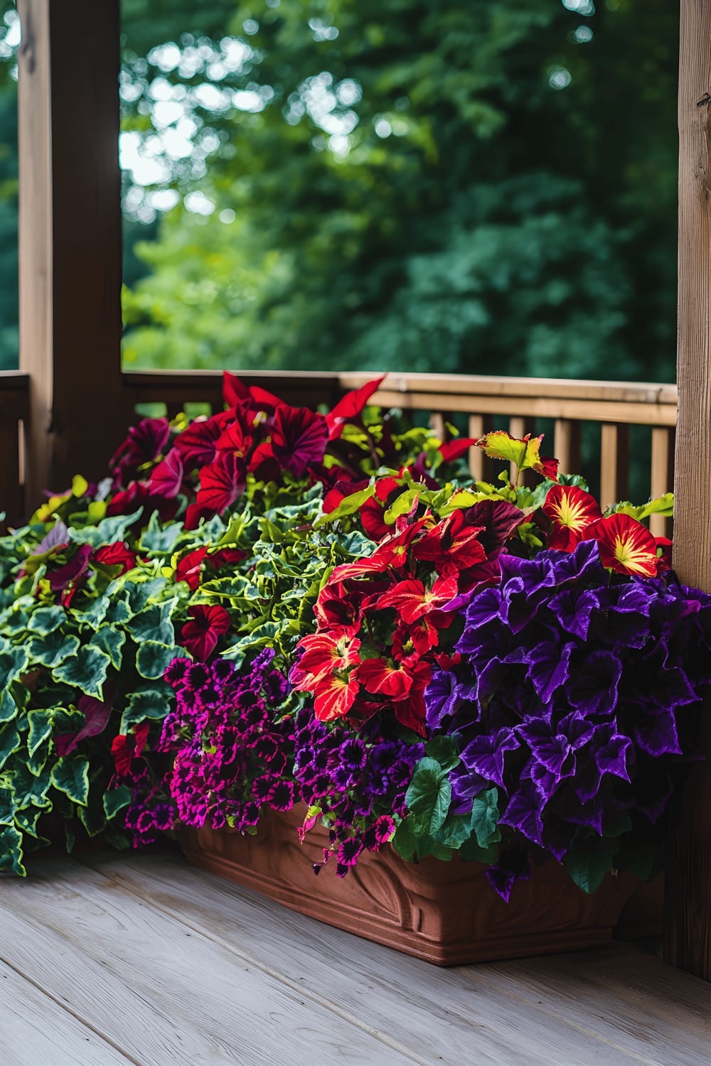 A lively container garden adorns a wooden deck, showcasing an array of plants including rich, red and green foliage of coleus, vibrant petunias in purples, reds, and magentas, and a terracotta pot teeming with cascading green plants and vivid flowers. The curating of these colourful elements is presented against a backdrop of a rustic wooden fence, behind which is a lush expanse of trees and greenery.