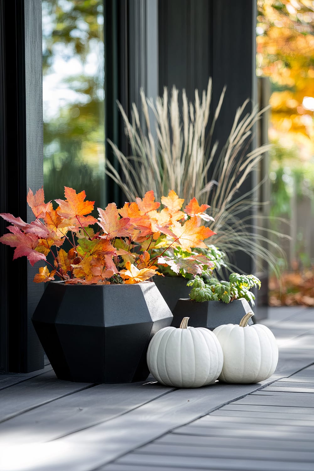 A sophisticated outdoor scene features geometric black planters containing autumn-themed plants. One planter holds vibrant orange and red fall foliage, while another contains tall, dry ornamental grasses. Two white pumpkins add an understated touch to the autumnal arrangement, set against a dark, modern deck and a background of subtle fall foliage reflected in glass windows.