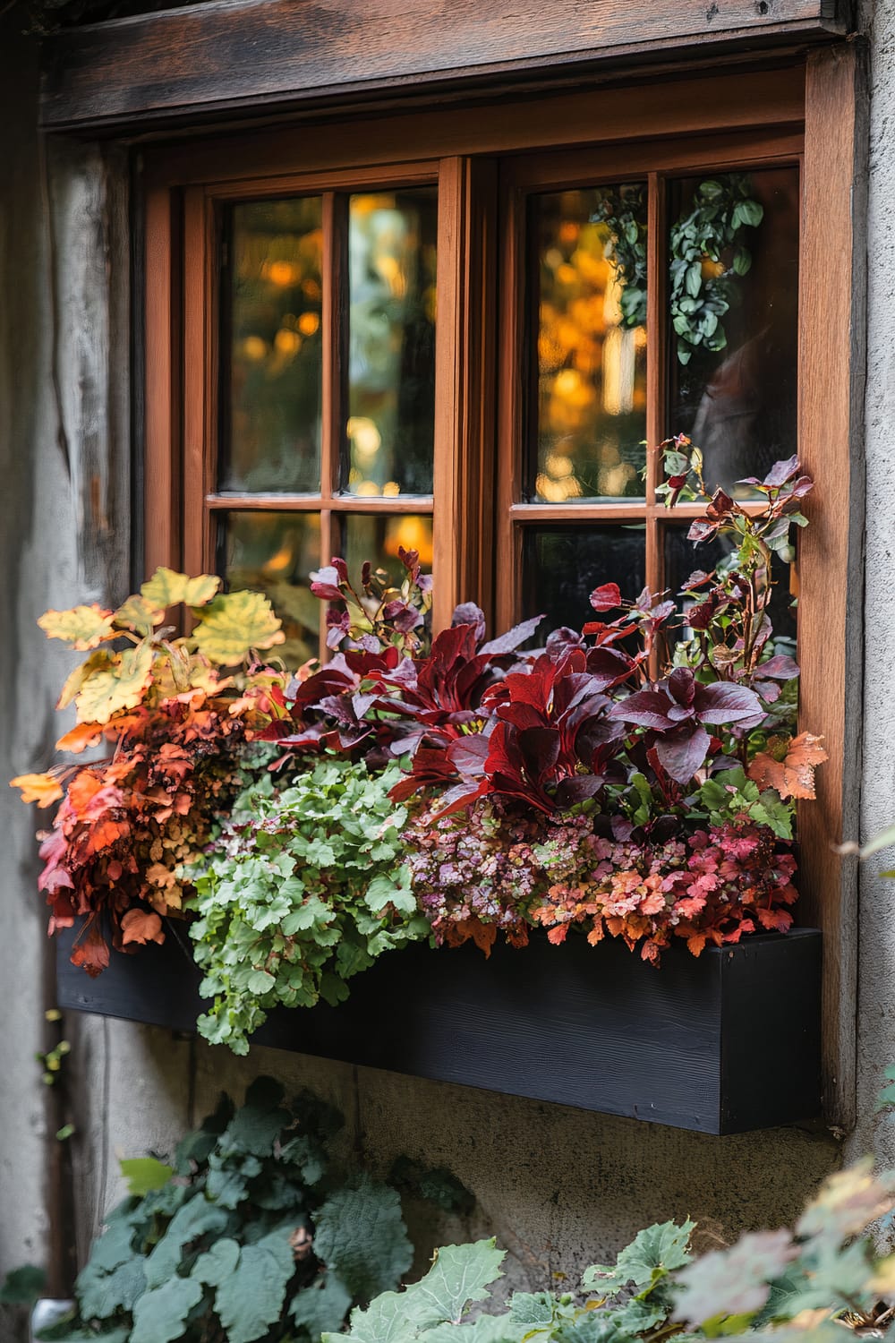 A rustic wooden window with black trim is adorned with a vibrant window box filled with a variety of foliage plants. The plants exhibit a rich mix of colors including deep red, bright green, and shades of autumn orange. The window reflects a warm, glowing light from the outside, casting a cozy ambiance.