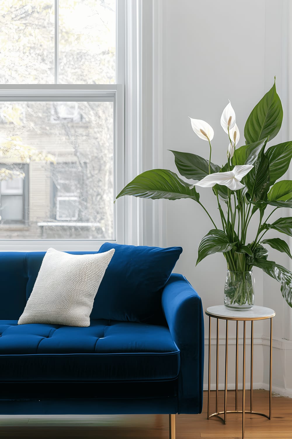 A minimalist living room featuring a vibrant, deep blue velvet sofa against a pristine white wall. Adjacent to the sofa is a polished gold metal side table topped with a book and a ceramic mug. To its right, a tall, flourishing peace lily sits on a sleek, mid-century modern wooden plant stand beside a large, bright window that pours in natural light to the room.