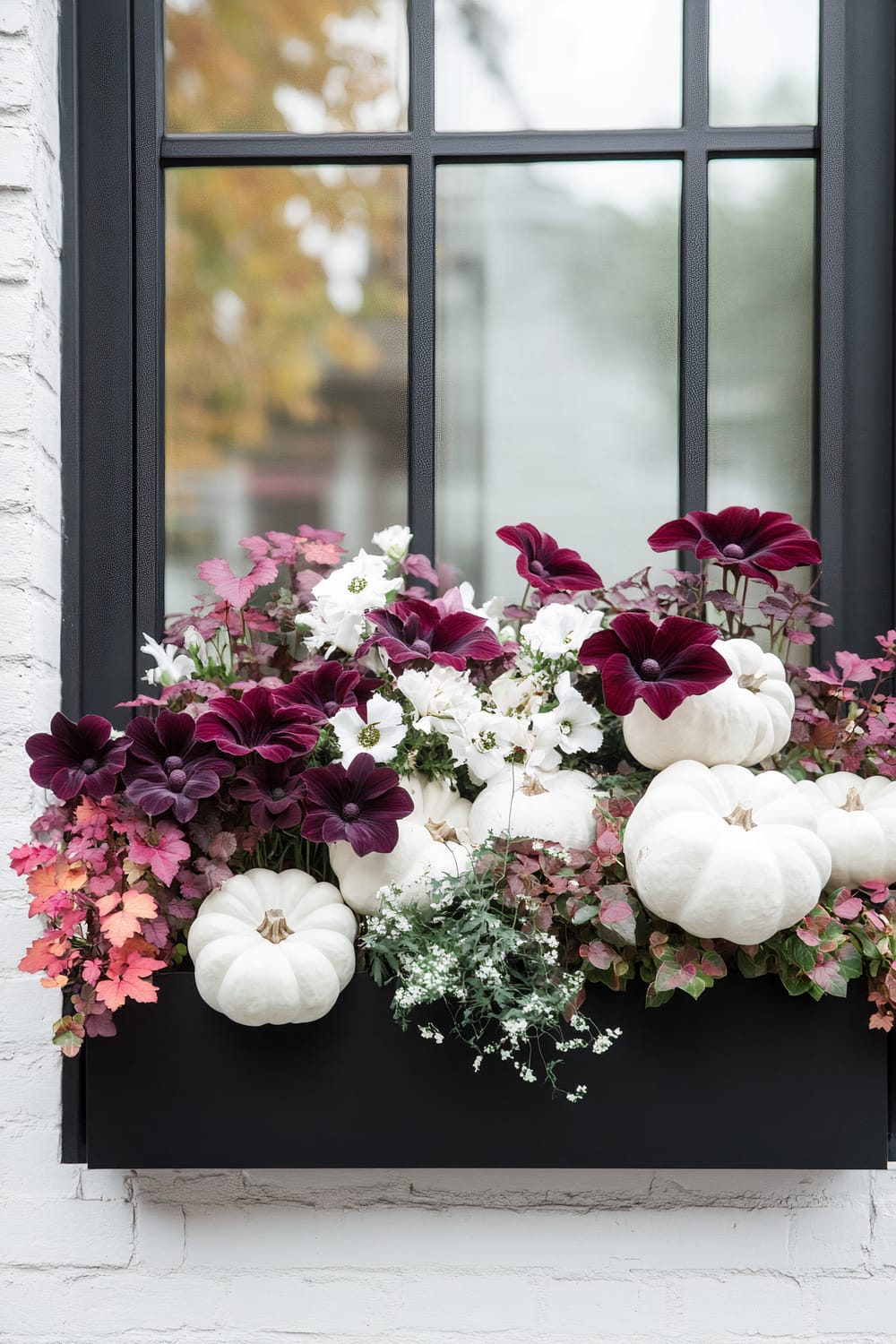 A window box overflowing with a sophisticated arrangement of autumnal elements sits in front of a large window with black grid frames. The window box contains small white pumpkins, deep burgundy and white flowers, and multicolored autumn leaves, creating a visually striking combination of colors and textures. The background shows a white brick wall, and outside, hints of fall foliage are visible.