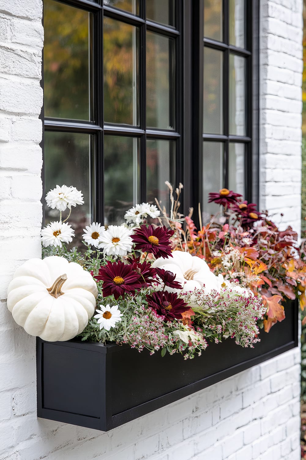 This image showcases a window box planter on a white-painted brick wall. The planter is filled with white pumpkins, white daisies, deep red chrysanthemums, and various greenery, creating a charming and vibrant display. The window has black-framed panes, contrasting elegantly with the white wall and the colorful plants.