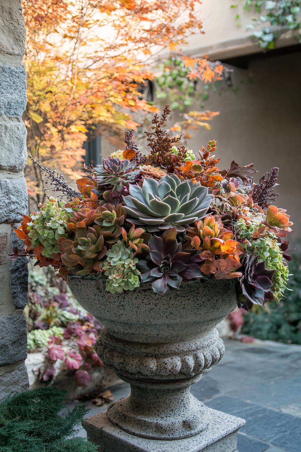 A large, ornate stone pot filled with an assortment of colorful succulents stands in an outdoor setting. The succulents exhibit a variety of hues, including greens, purples, and oranges. The backdrop features a stone building and trees with autumn foliage displaying warm tones. The stone surface and surrounding greenery complement the vibrant arrangement.