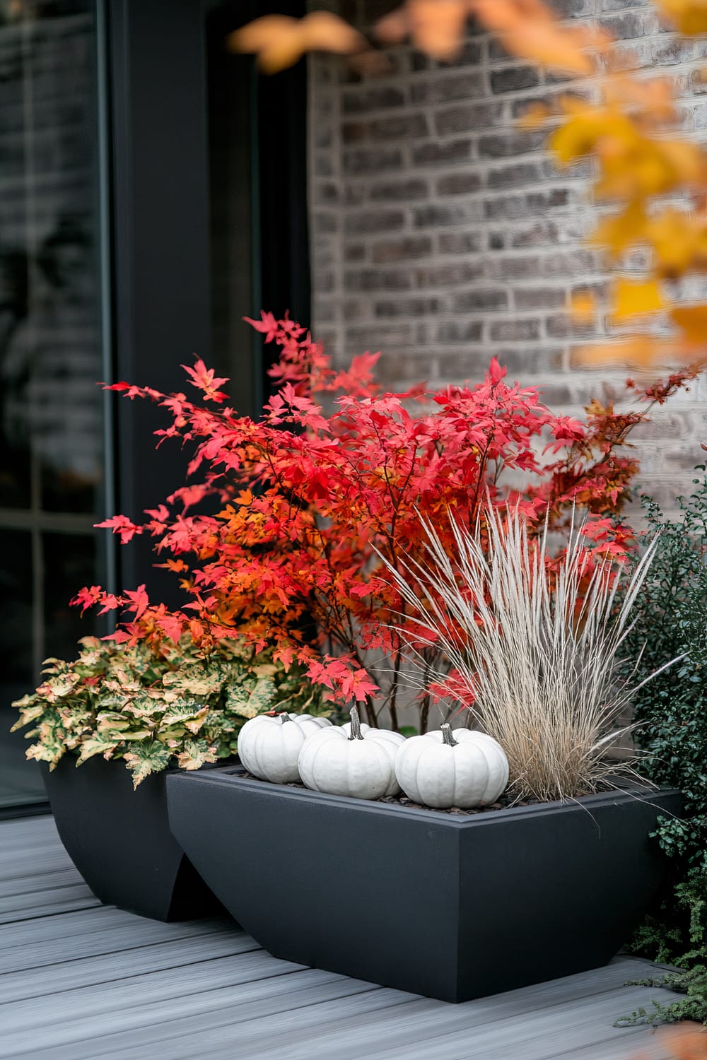 A modern outdoor setting features two black rectangular planters placed on a grey wooden deck. One planter contains vibrant red leaves of a Japanese maple tree, wispy tan ornamental grass, and small white pumpkins. The other planter holds variegated ivy. Autumn-colored leaves and a brick wall are visible in the background.