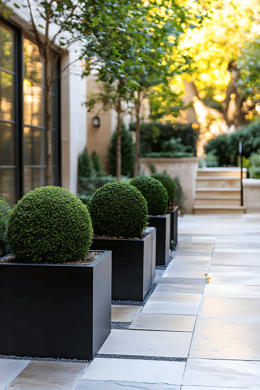 A pristine outdoor courtyard showcases a path paved with gleaming stone slabs, bordered by perfectly pruned boxwood spheres resting in square black planters that are arranged in an organized manner. Features boast of a modern and distinct garden design.