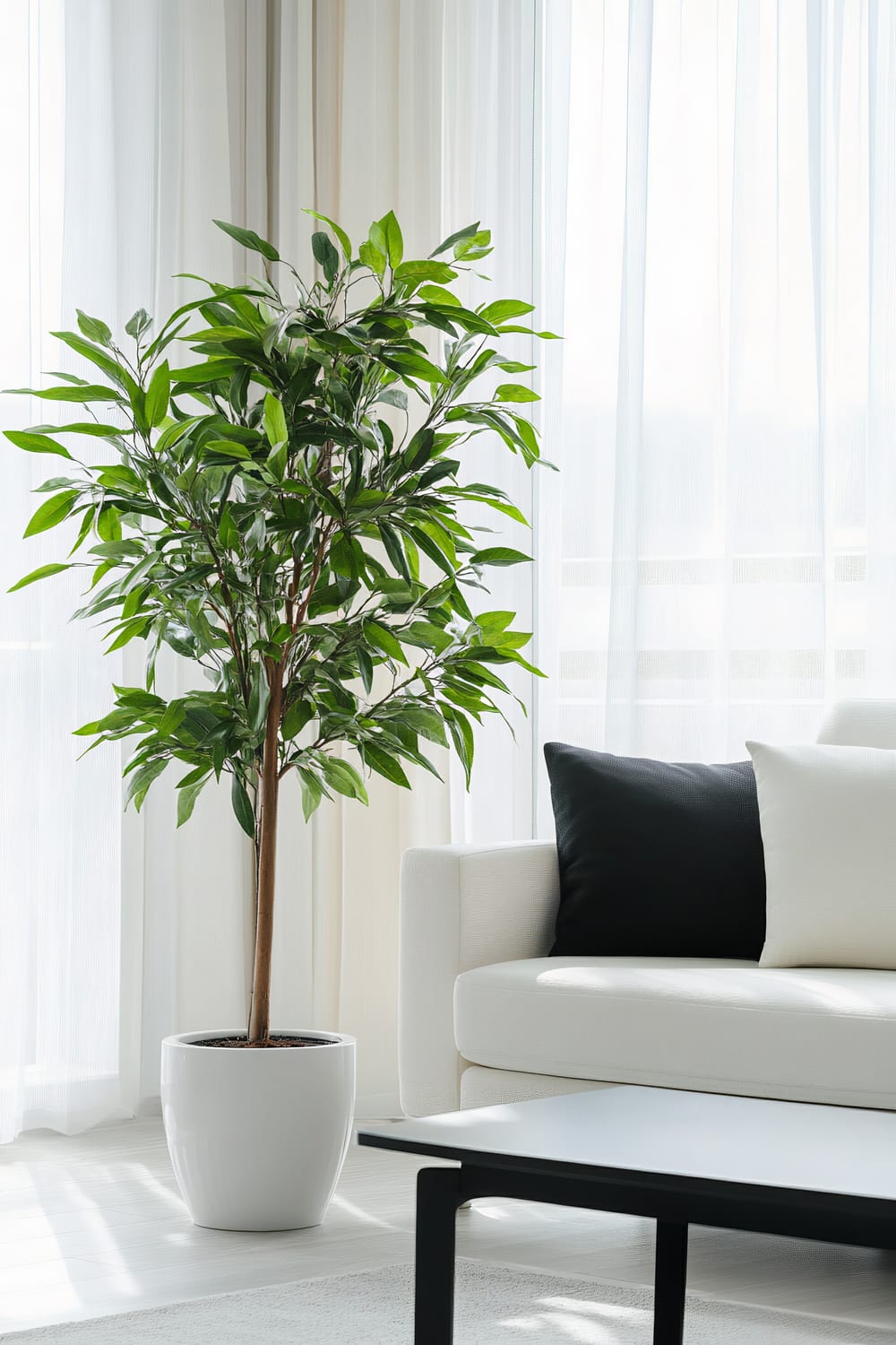 A minimalist living room with a sleek white sofa adorned with a black and a white cushion sits adjacent to a low-profile black coffee table. A single green plant in a white pot is positioned beside the sofa. Large windows with sheer white curtains allow ample natural light to flood the space.