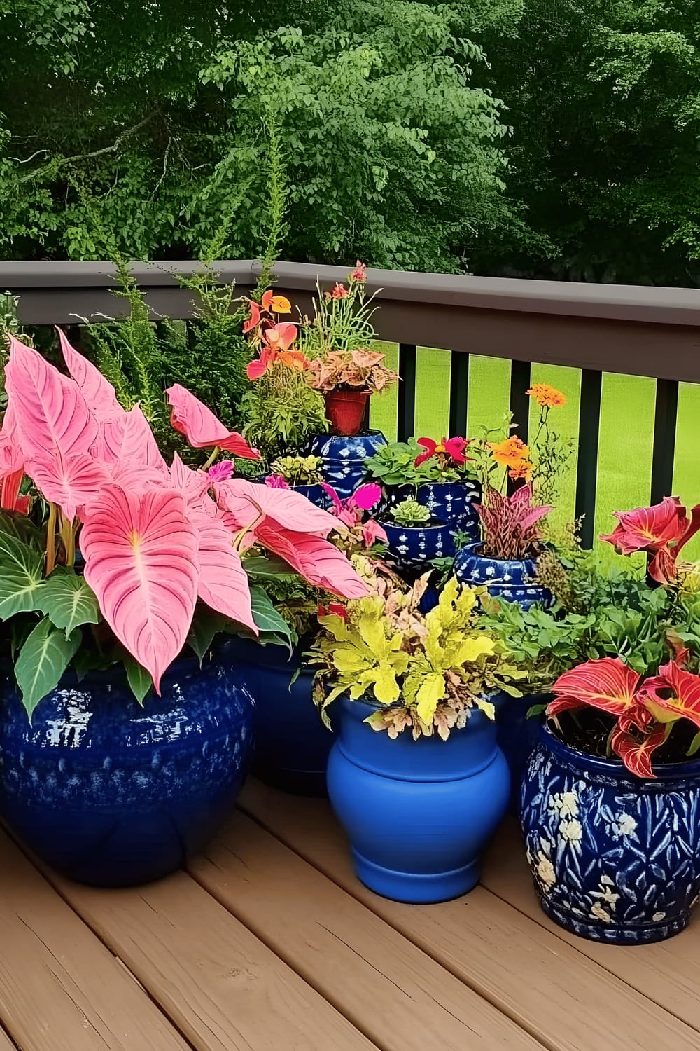 A vibrant outdoor scene depicting a variety of lush, colorful plants growing in cobalt blue ceramic pots of different sizes, arranged on a wooden deck adorned with an ornate railing. The plant selection includes poppy pink caladiums, trailing green foliage, and a mix of unidentified flowering species. The deck overlooks a tranquil backdrop of a manicured green lawn and dense trees.