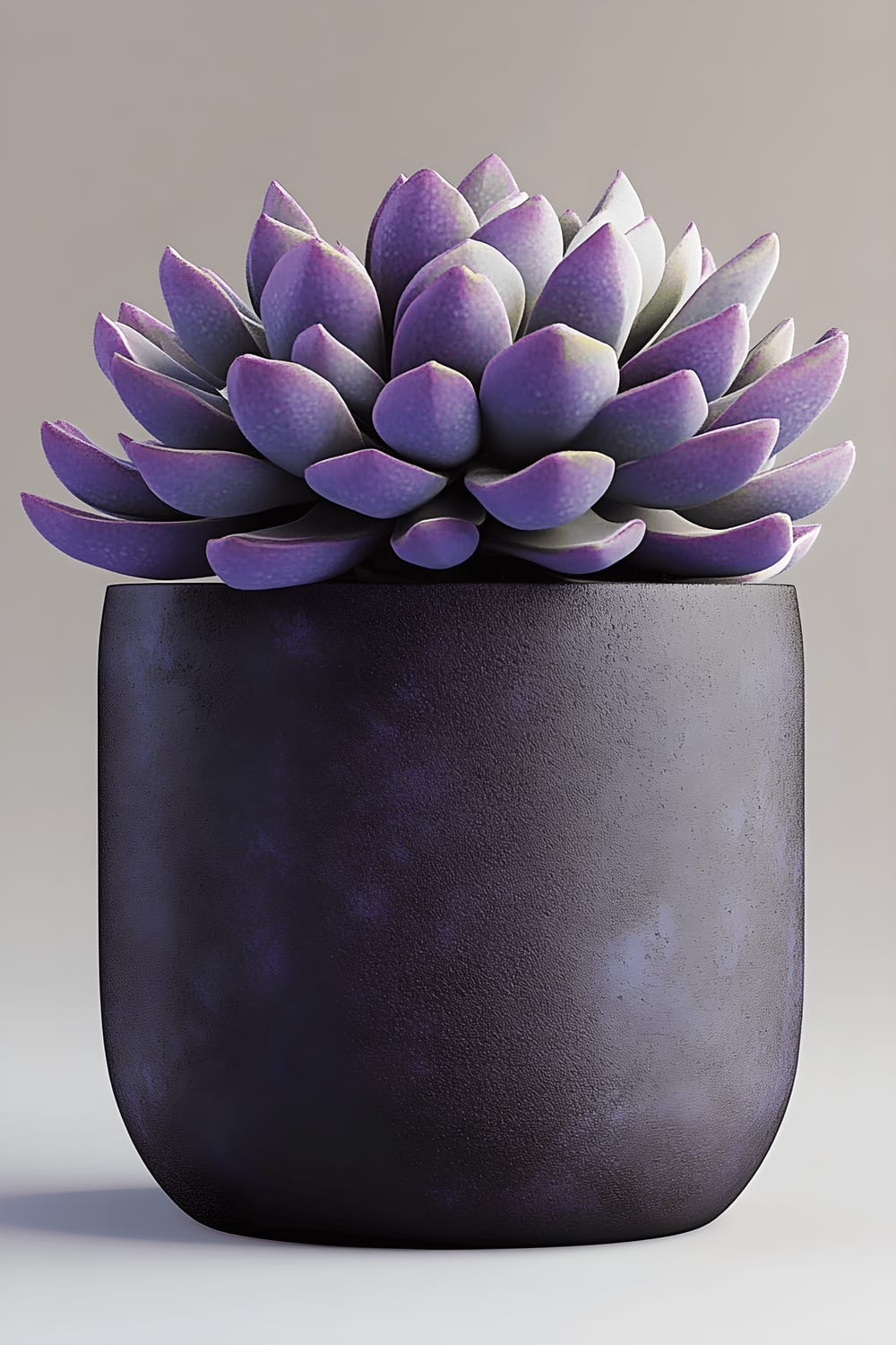 A photorealistic image showcasing a cylindrical asphalt pot containing a lush collection of various succulent plants in shades of violet.