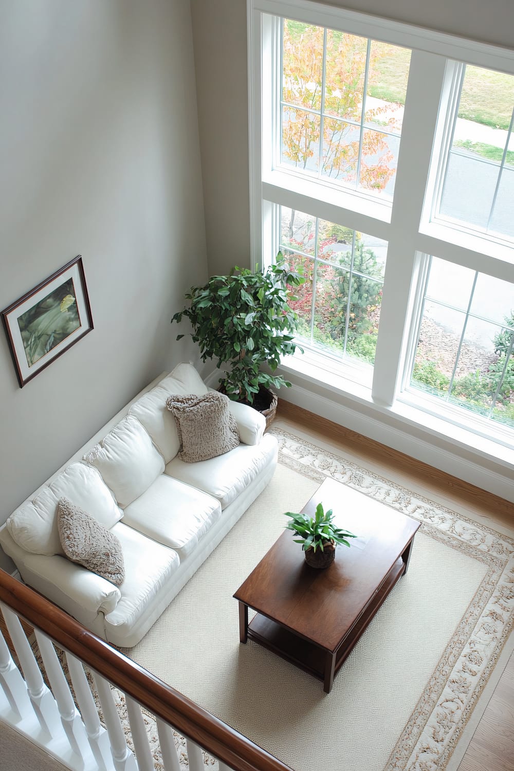 An aerial view of a serene living room with light gray walls, a white loveseat with beige throw pillows, and a wooden coffee table with a small plant. A beige area rug anchors the seating area. The room has large windows that let in ample natural light, and there's a tall houseplant next to the loveseat.