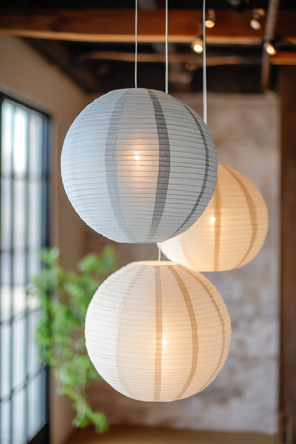 A trio of oversized paper lanterns in shades of white, cream, and gray, suspended at varying heights. They are illuminated, creating deep contrasts and soft shadows. The background includes a window, a potted plant, and a textured wall.