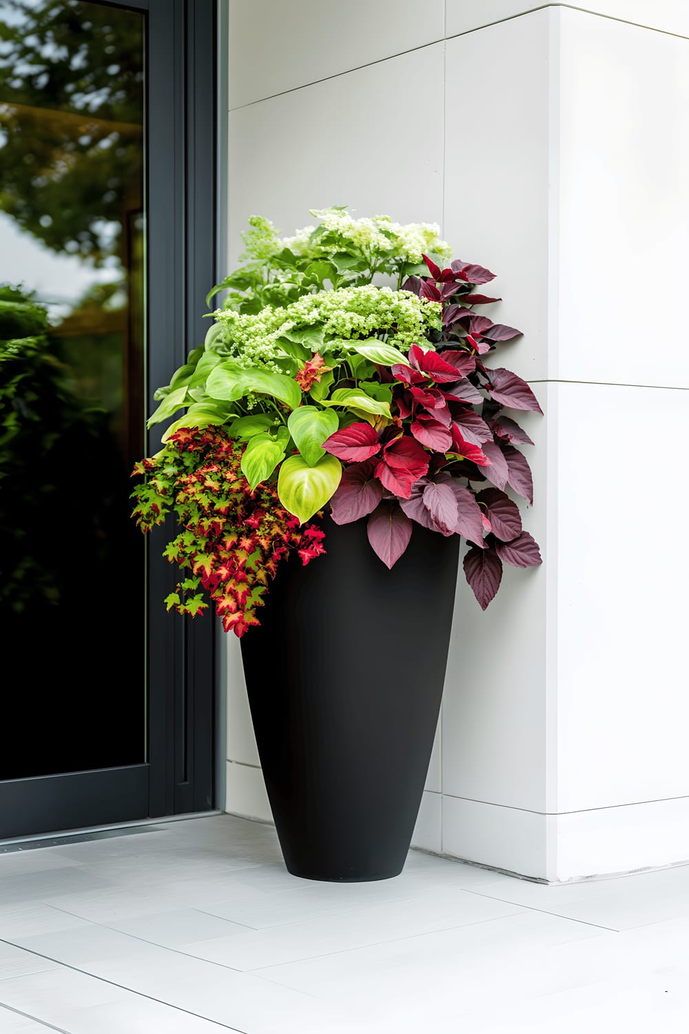 A symmetrical arrangement of tall black planters against a stark white wall, filled with lush, vibrant foliage plants. The centerpiece is a plant boasting large green leaves. Surrounding it are plants with multi-coloured leaves in shades of deep reds, burgundy, and lime green. Further texture and elegance are presented through cascading greenery and delicate white flowers spilling over the edges.