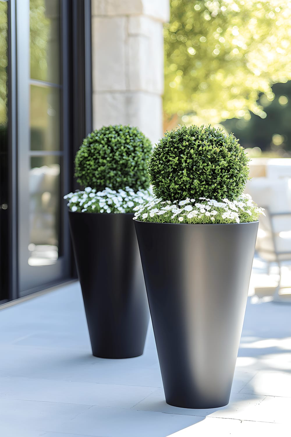 A modern outdoor patio showcasing a pair of sleek black metal planters filled with nicely trimmed spiral topiary boxwoods, accompanied by delicate white alyssum flowers at the base. The planters are symmetrical, placed against a backdrop of contemporary concrete walls, thus contributing to a minimalist yet sophisticated decor concept.