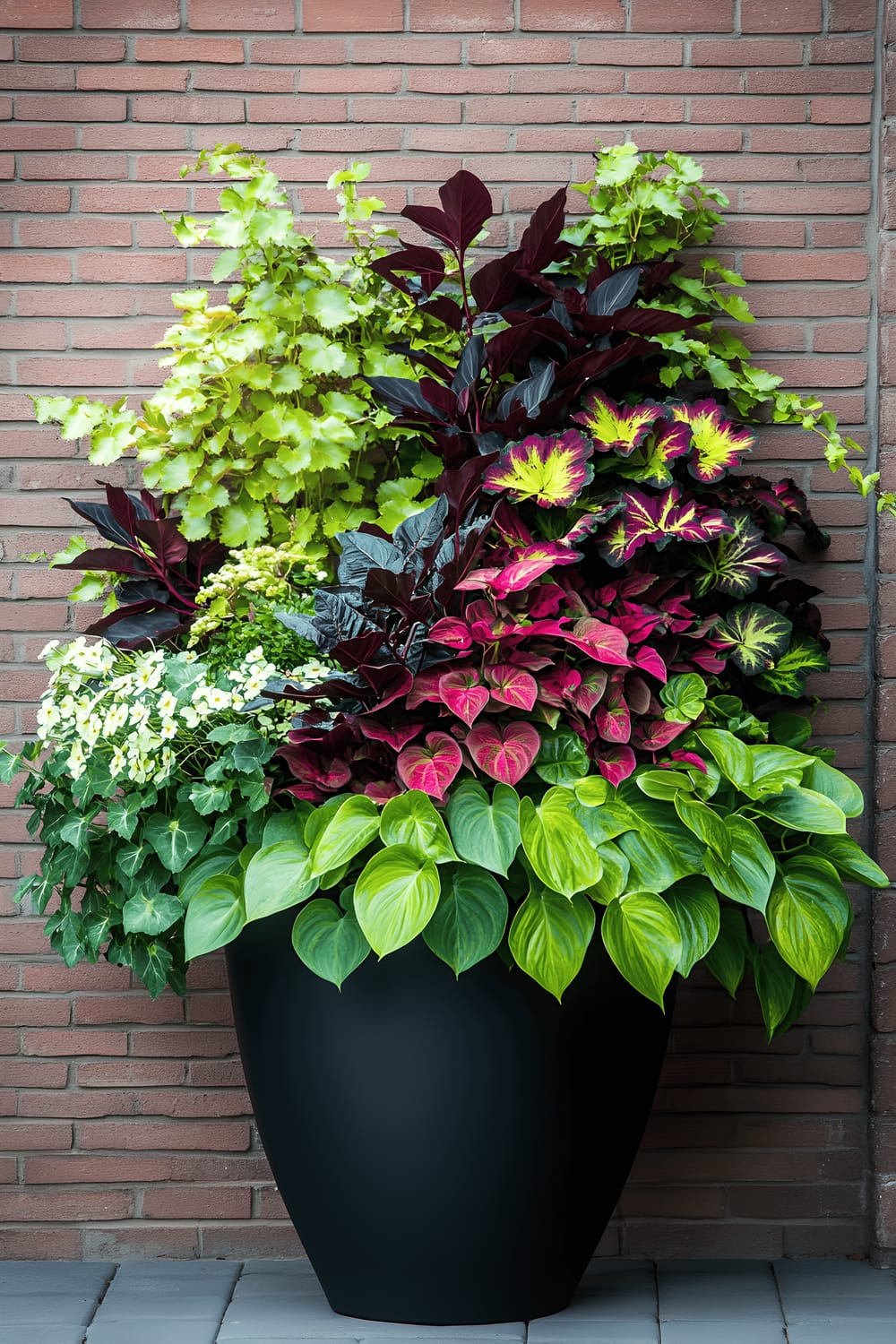 A striking arrangement of tall black planters against a brick wall, filled with abundant, vibrant foliage plants, the centerpiece of which are large, green leaves. Surrounding plants encompass colorful coleus in shades of red, burgundy, and lime green. Cascading greenery and delicate white flowers lean over the edges of the planters, adding textures and elegance to the outdoors.