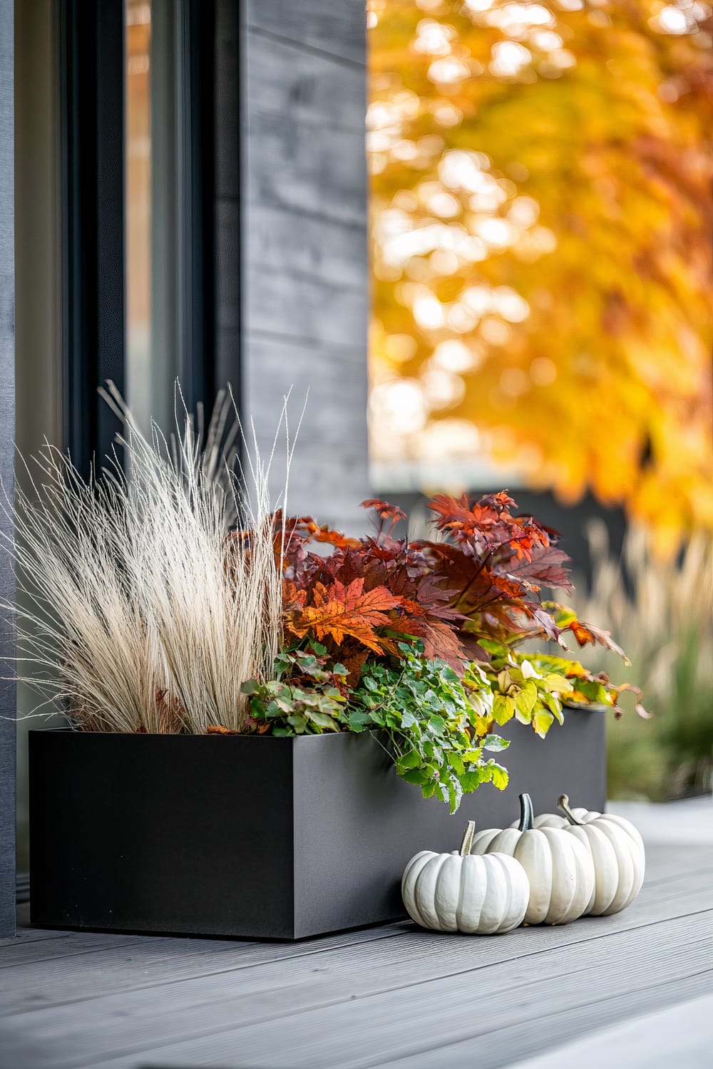 A modern outdoor planter with a mix of ornamental grasses, red and green foliage, is placed against a wall with dark wooden panels. Beside it, three small white pumpkins rest on a wooden deck. In the background, autumnal trees with striking yellow and orange leaves are visible.