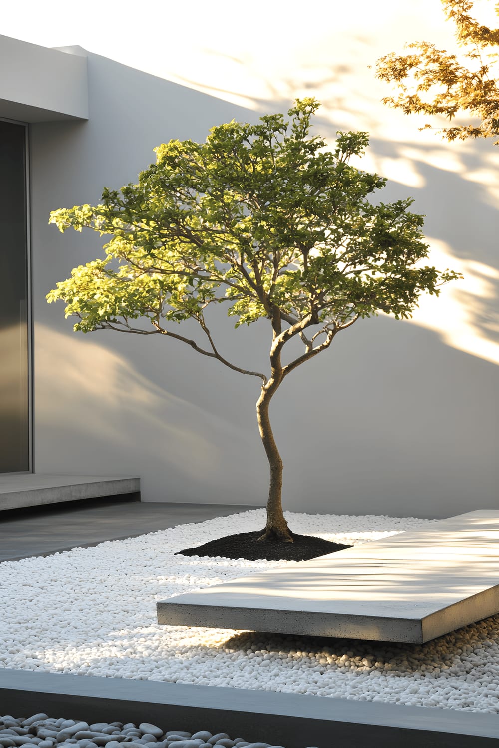 A modern Zen-inspired courtyard featuring a manicured white pebble garden and a lone bonsai tree bathed in warm sunlight. A minimalist concrete bench rests against the courtyard wall, inviting contemplation in this serene space.