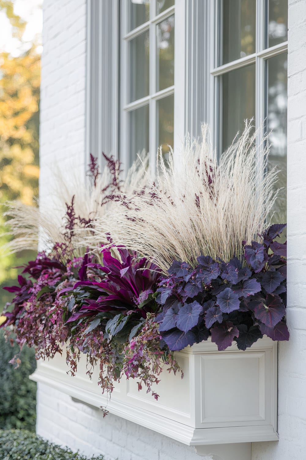 A window box filled with a lush arrangement of plants, with a mixture of deep purple foliage, pale ornamental grasses, and other flowering plants, is mounted beneath a double-paned window. The white-painted brick wall and trim of the window frame contrast with the vibrant colors of the plants.