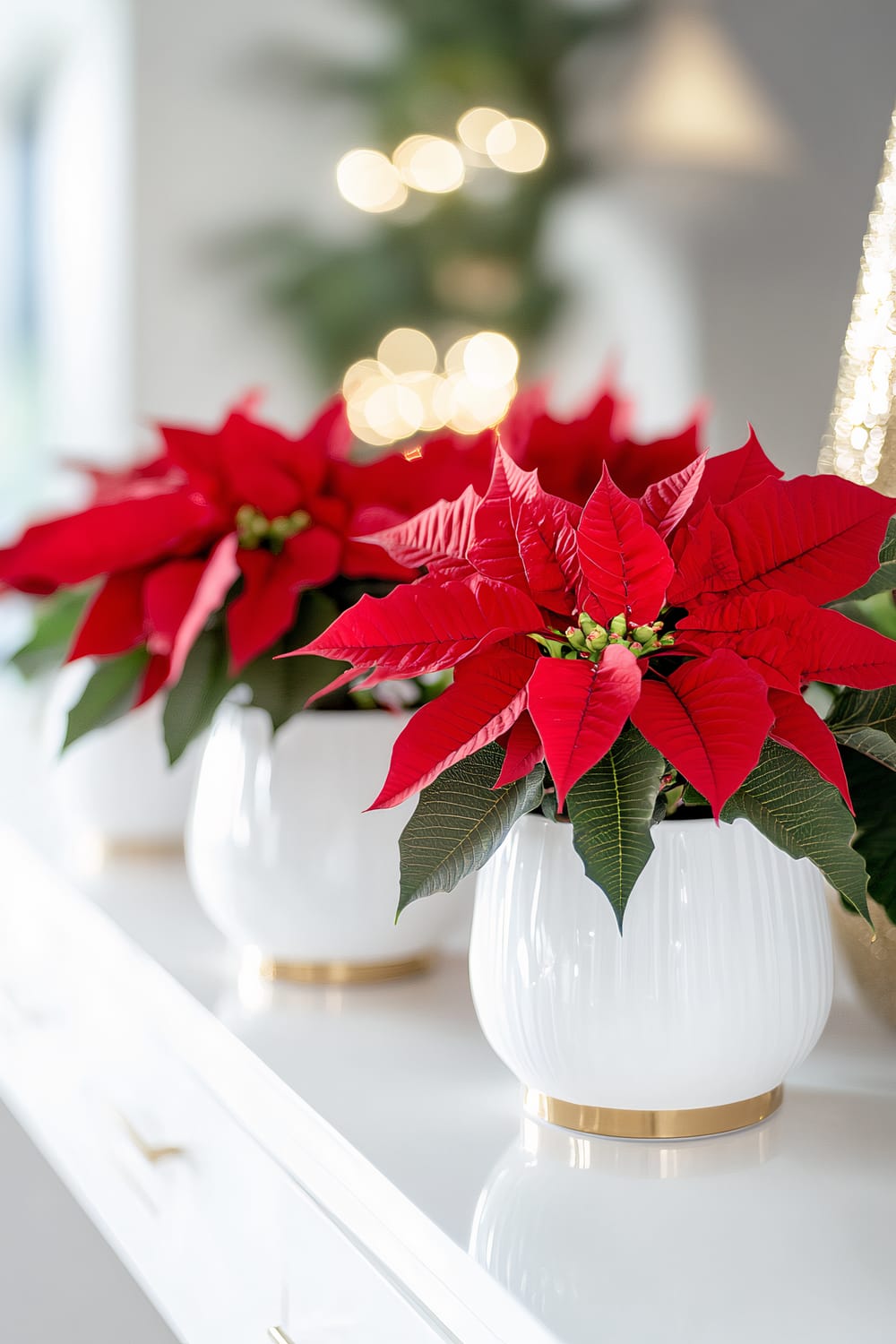 Three poinsettia plants with bright red bracts and green leaves are arranged in white, ribbed ceramic pots with gold bases. The pots are placed on a white surface, with bokeh-style holiday lights seen in the blurred background.