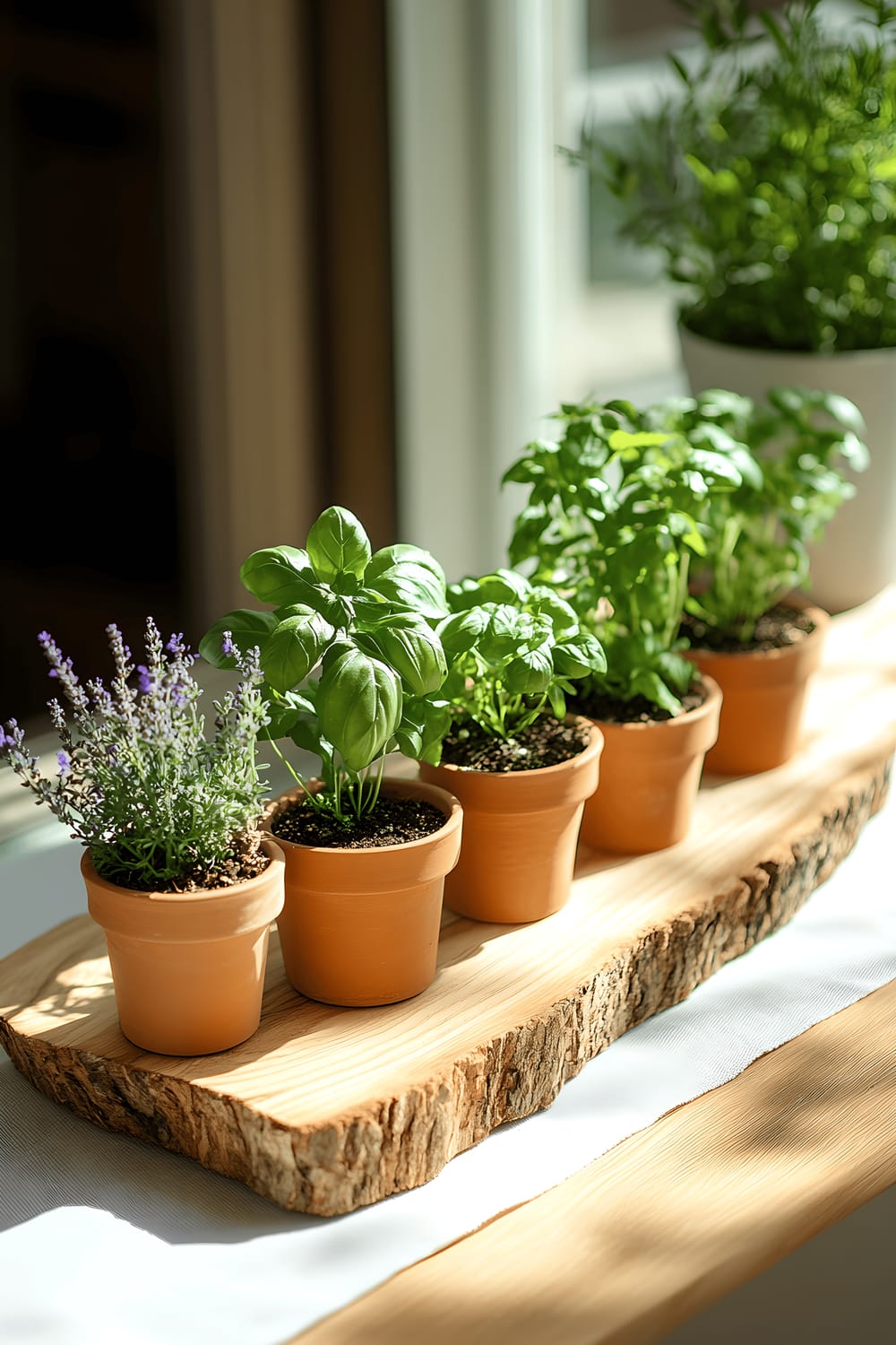 A kitchen table centerpiece displaying an assortment of fresh herbs in small pots and terracotta pots arranged on a slab of reclaimed wood. Recycled glass beads accentuate the setup. The arrangement is placed on a light linen kitchen runner with natural sunlight highlighting the sustainable materials and fresh greenery evoking a modern, eco-friendly look.