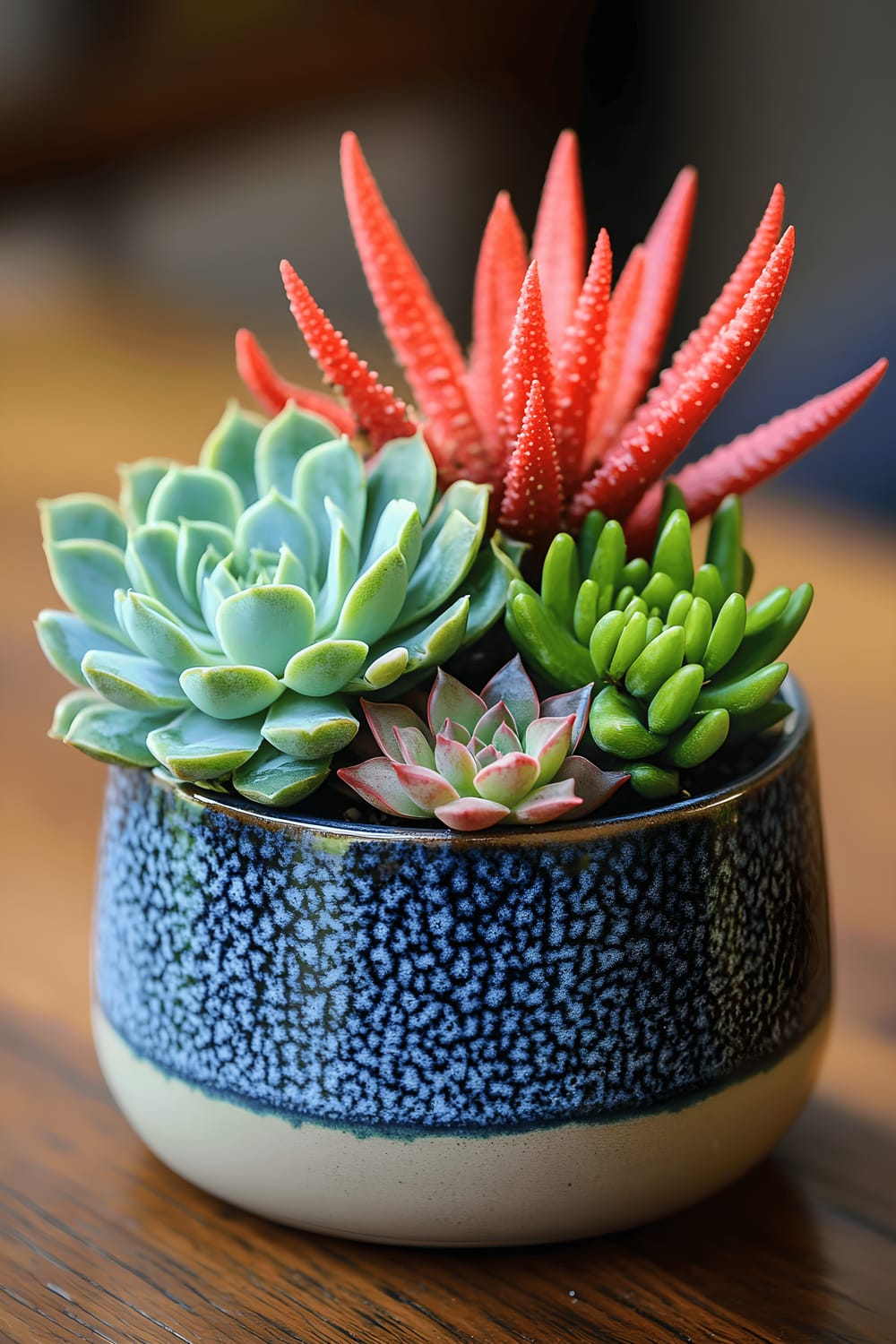 A modern succulent arrangement in a white ceramic pot, featuring a collection of vibrant, weel-groomed succulents of different shapes and sizes, one of them being a red moon cactus. The pot is placed against a white background, making the succulents' hues more prominent.