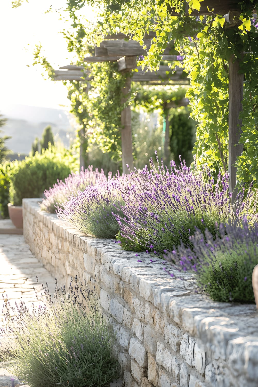 A picturesque sunlit garden setting featuring a low rustic stone wall adorned with built-in planters blooming with lavender, rosemary, and cascading ivy. A delicate pergola lightly filters the sunlight in the background.