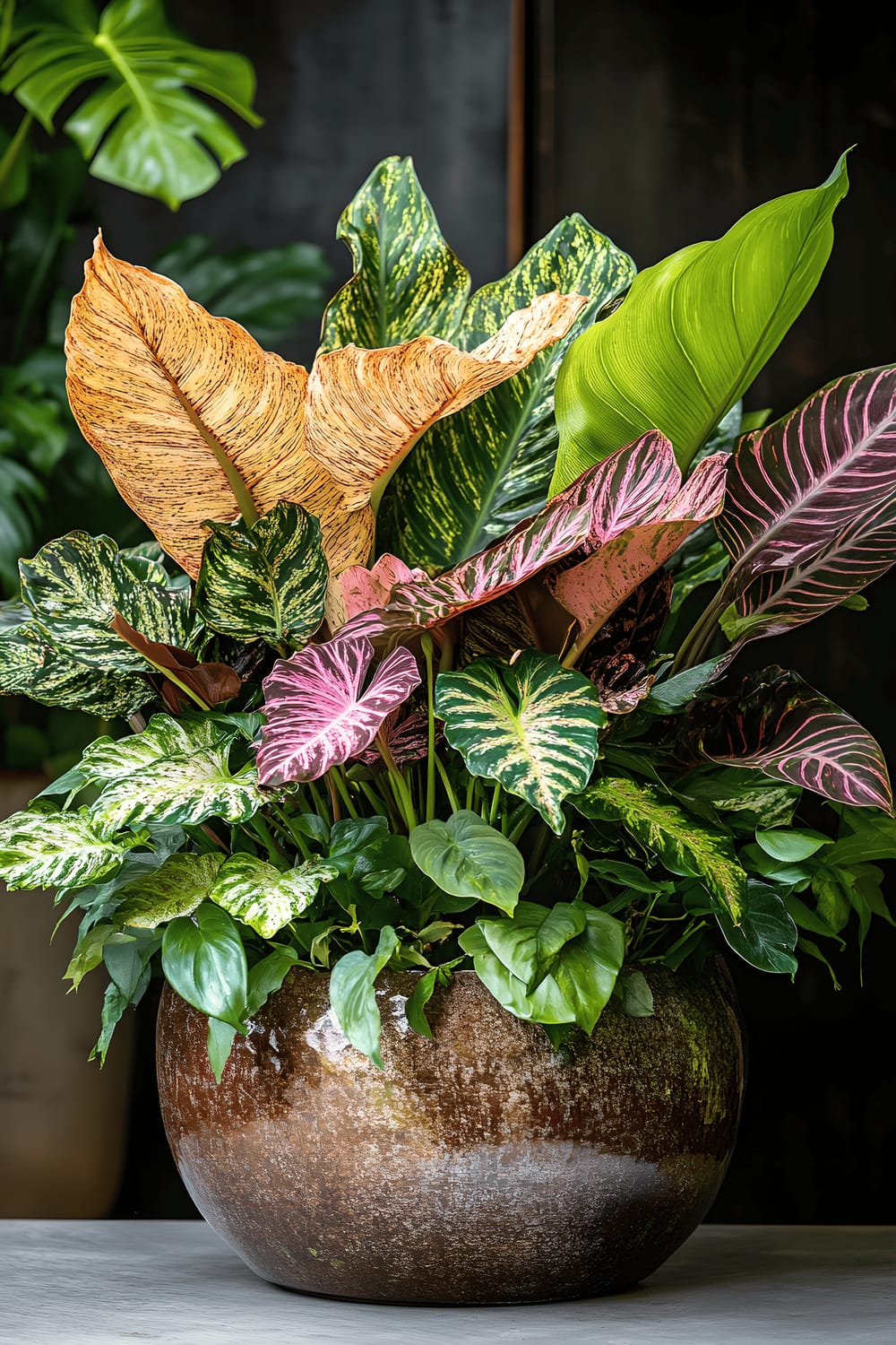 A large rustic ceramic indoor planter filled with a variety of lush, exotic plants including Elephant Ear, Bird’s Nest Fern, Rattlesnake Calathea, and Philodendron ‘Pink Princess’. The plants are arranged in a layered composition, and their deep tropical greens and striking variegated leaves create a rich and vibrant indoor jungle feel.