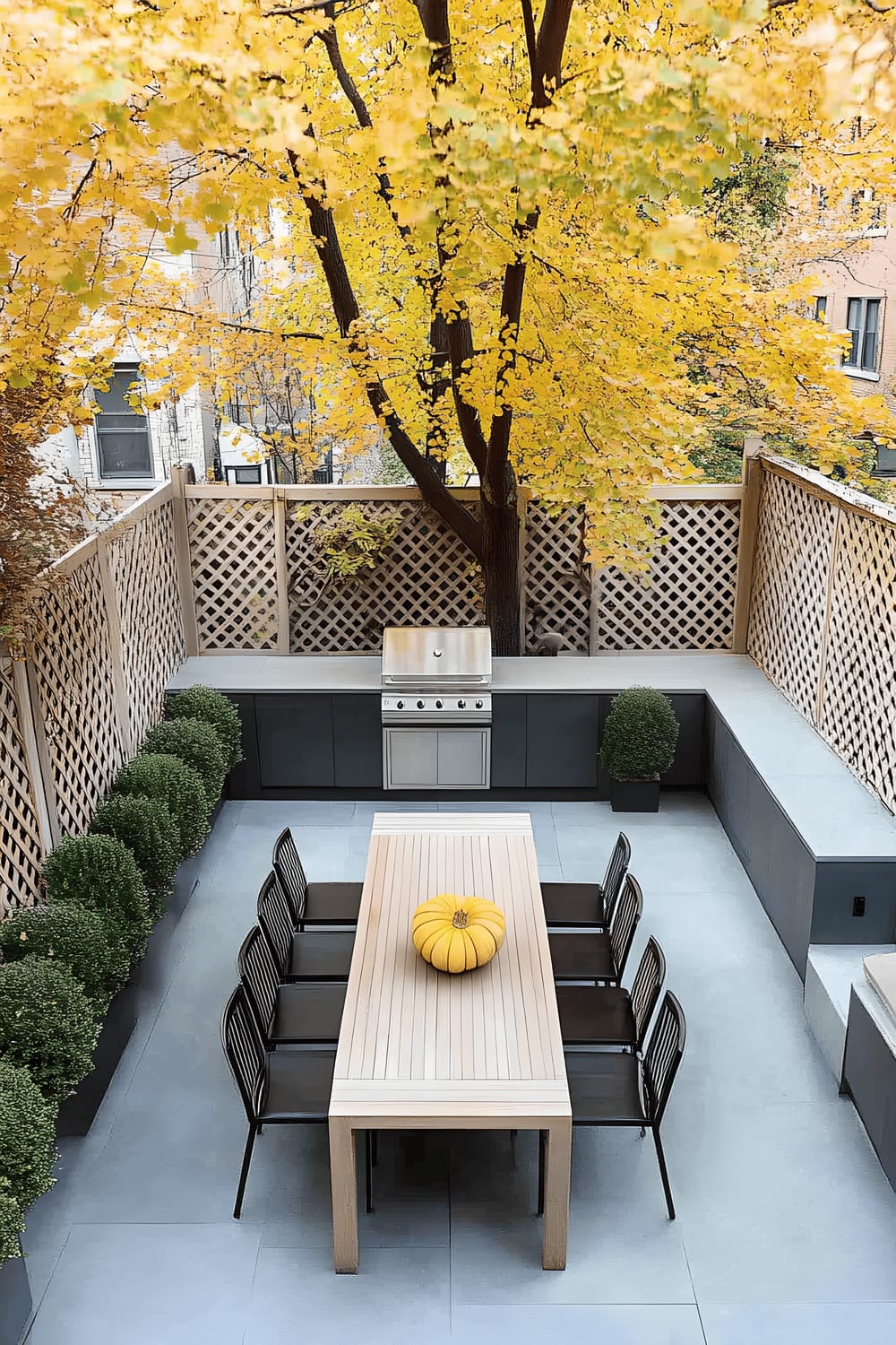 A modern outdoor patio is decorated with a wooden dining table, sleek black chairs, and minimalistic planters filled with lush greenery; set under a vibrant autumn tree with golden leaves. The patio features gray tile flooring and lattice privacy walls. Adding to the seasonal design are decorative pumpkins and a stainless steel grill.