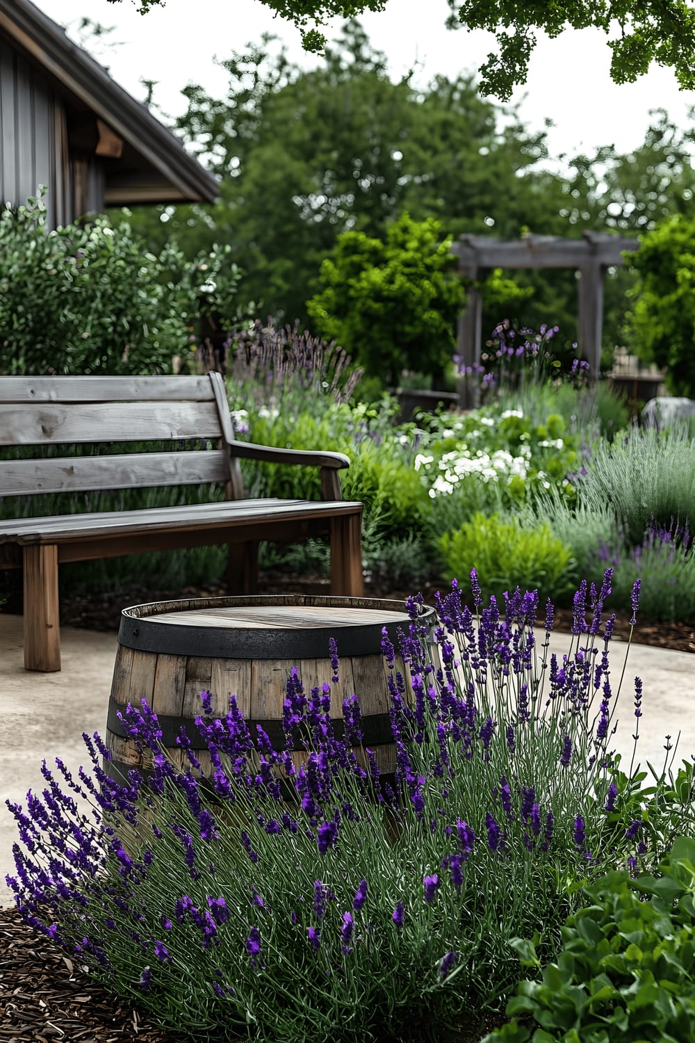 A half-whiskey barrel converted into a garden, holding vibrant lavender and rosemary plants, with a wooden bench situated nearby. The rich purple blossoms of the lavender plants stand out against the rustic elements of the setting, creating a picturesque and fragrant garden scene.