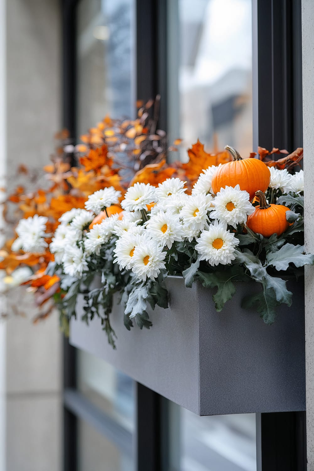 A window box attached to a building facade is filled with white daisies and small orange pumpkins. Autumn leaves in shades of orange and brown add to the fall-themed decoration. The window frame and wall are visible, indicating an urban setting.