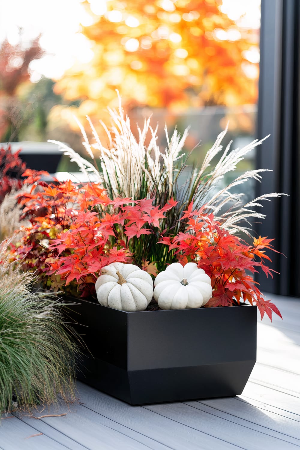 A modern planter box with vibrant red maple leaves, white pumpkins, and tall ornamental grasses sits on a patio deck. The background features blurred, brightly colored orange and yellow autumn foliage, highlighting the seasonal decor.