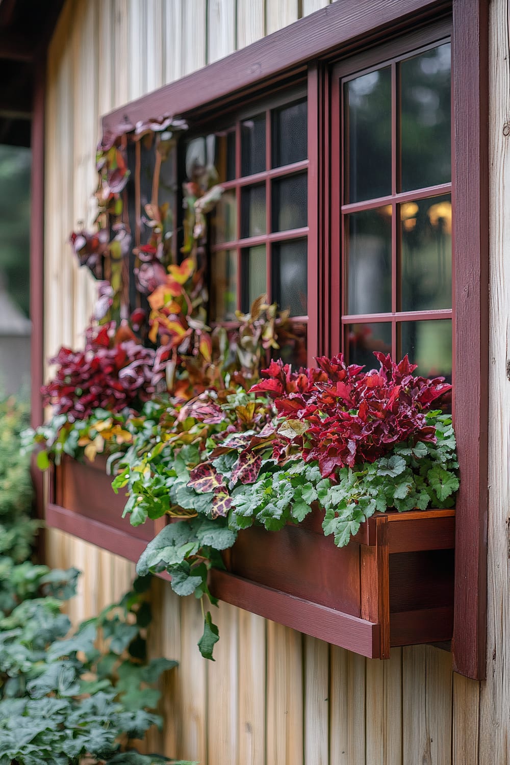 A rustic wooden house wall features a window adorned with a vibrant planter box. The box is filled with a variety of colorful plants, predominantly crimson and green, which spill over its edges. The window has a deep burgundy frame and multiple panes, creating a grid pattern. The wall of the house is made of vertically aligned wooden planks, providing a natural backdrop to the lively foliage.