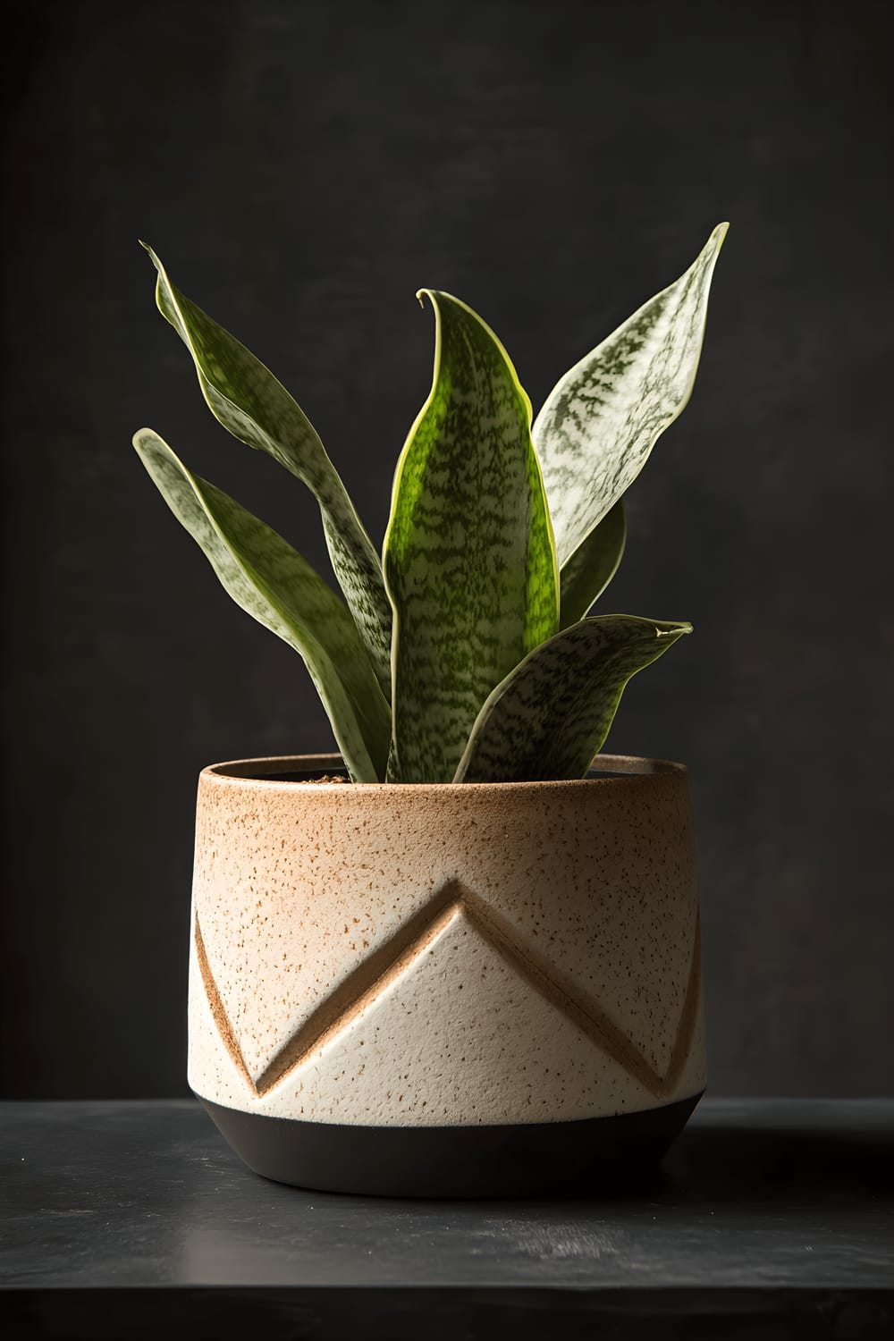 A close-up image of a snake plant residing in a ceramic pot with a bold geometric design, placed on a dark, sleek surface in a natural light setting, highlighting the lustrous green leaves of the plant and the intricate texture of the planter.