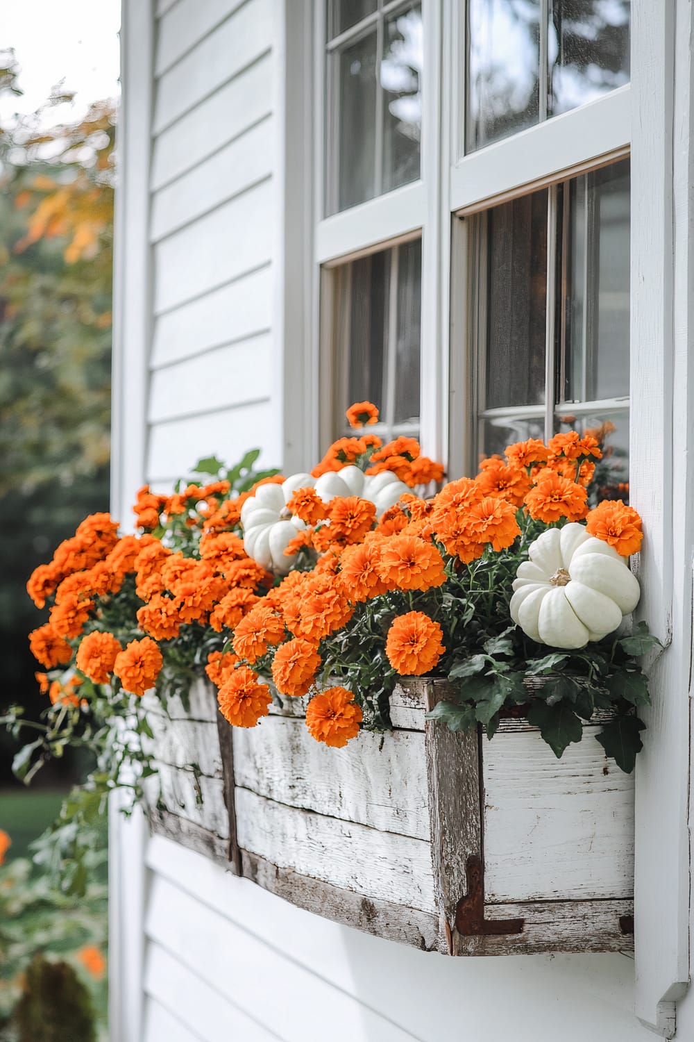 A close-up of an exterior window box planter attached to the white siding of a house. The box is filled with vibrant orange marigold flowers and small white pumpkins, evoking a fall theme. The planter itself is made of weathered wood painted white, with visible rust on the metal brackets.