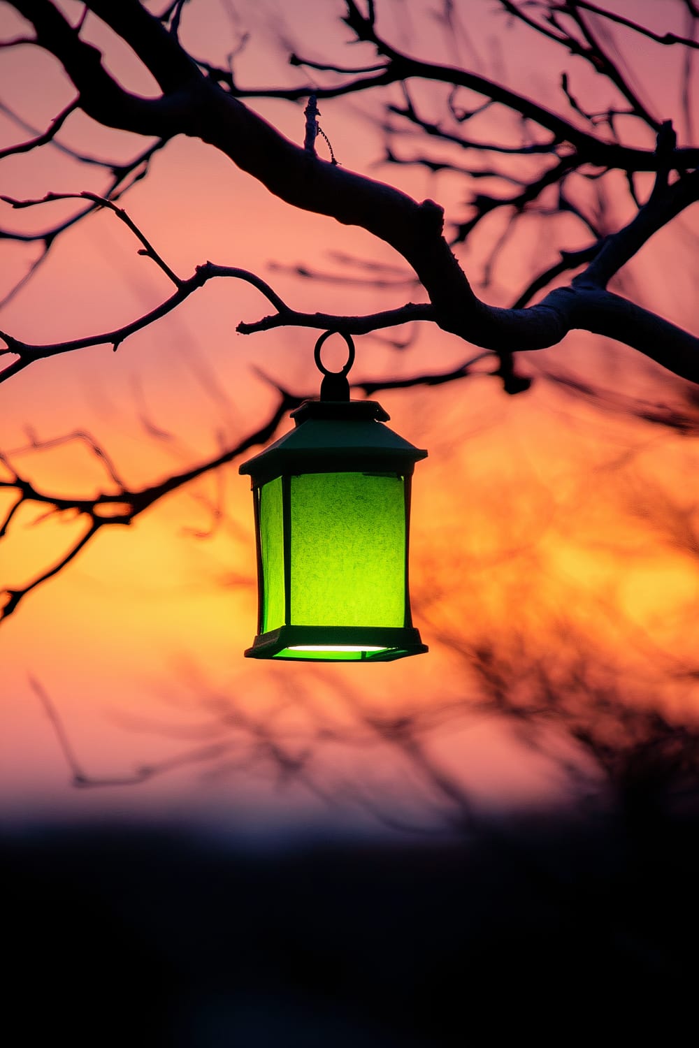 A vibrant green lantern hangs from the bare branches of a tree, silhouetted against a vivid sunset sky. The sky is awash with hues of orange, pink, and purple, creating a dramatic backdrop for the lantern, which emits a gentle glow.