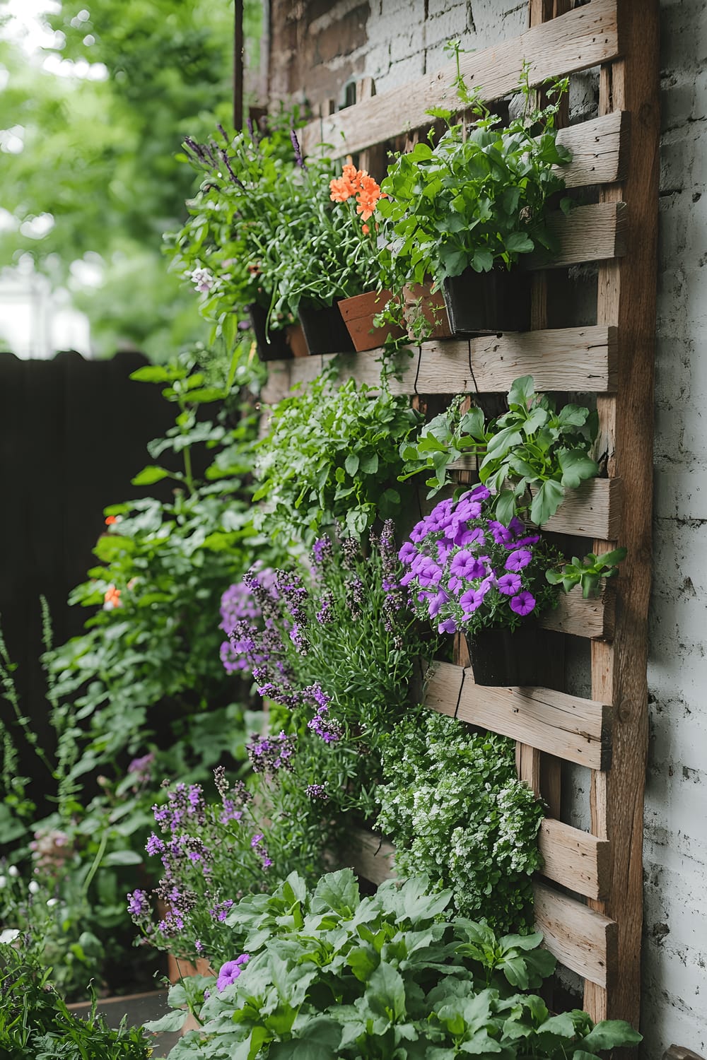 This vertical garden uses a repurposed wooden pallet as a frame. The pallet, laid flat and positioned upright, contains multiple pockets where a variety of plants grow. Among the verdant greenery, sprigs of parsley, clusters of lavender, and trailing petunias are distinguishing features. The wooden pallet stands mounted against a plain, lightly textured wall, providing a rustic and simple backdrop. The plants fill the pallet fully, turning it into a vibrant wall of mixed herbs and flowers.