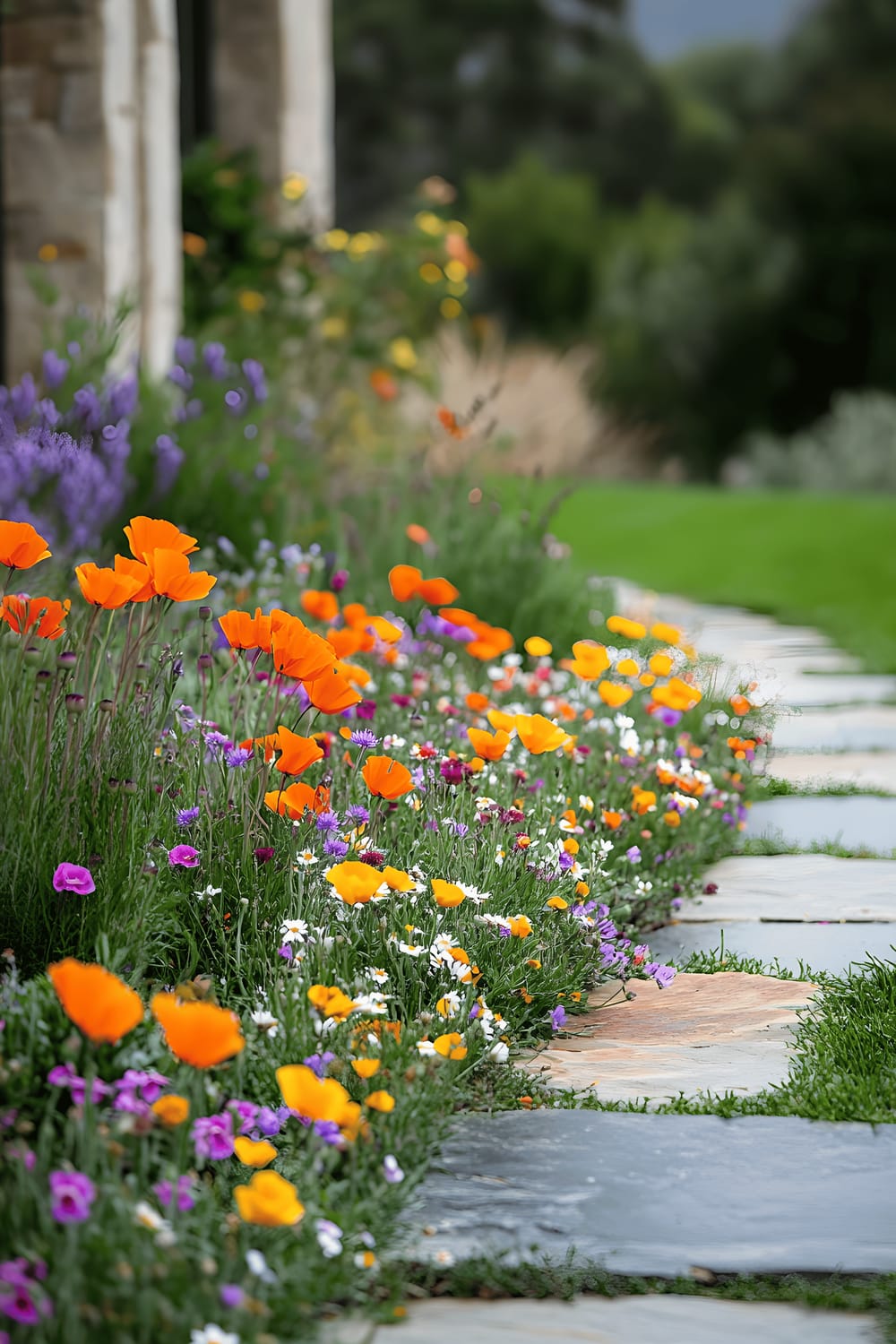 A meticulously planned wildflower garden filled with vibrant California poppies, clover, and daisies. The garden, abundant with soft green groundcover interspersed with multi-colored blooms, is complemented by large natural stones that define its boundaries. An embodiment of a low-maintenance and eco-friendly landscaping solution.