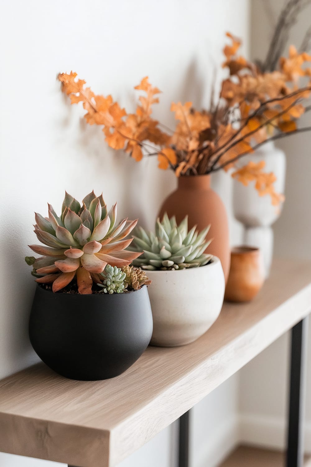 A minimalist display of potted plants on a light wooden shelf. The shelf features various succulents in black and white pots, alongside dried autumn foliage in terracotta and white vases.