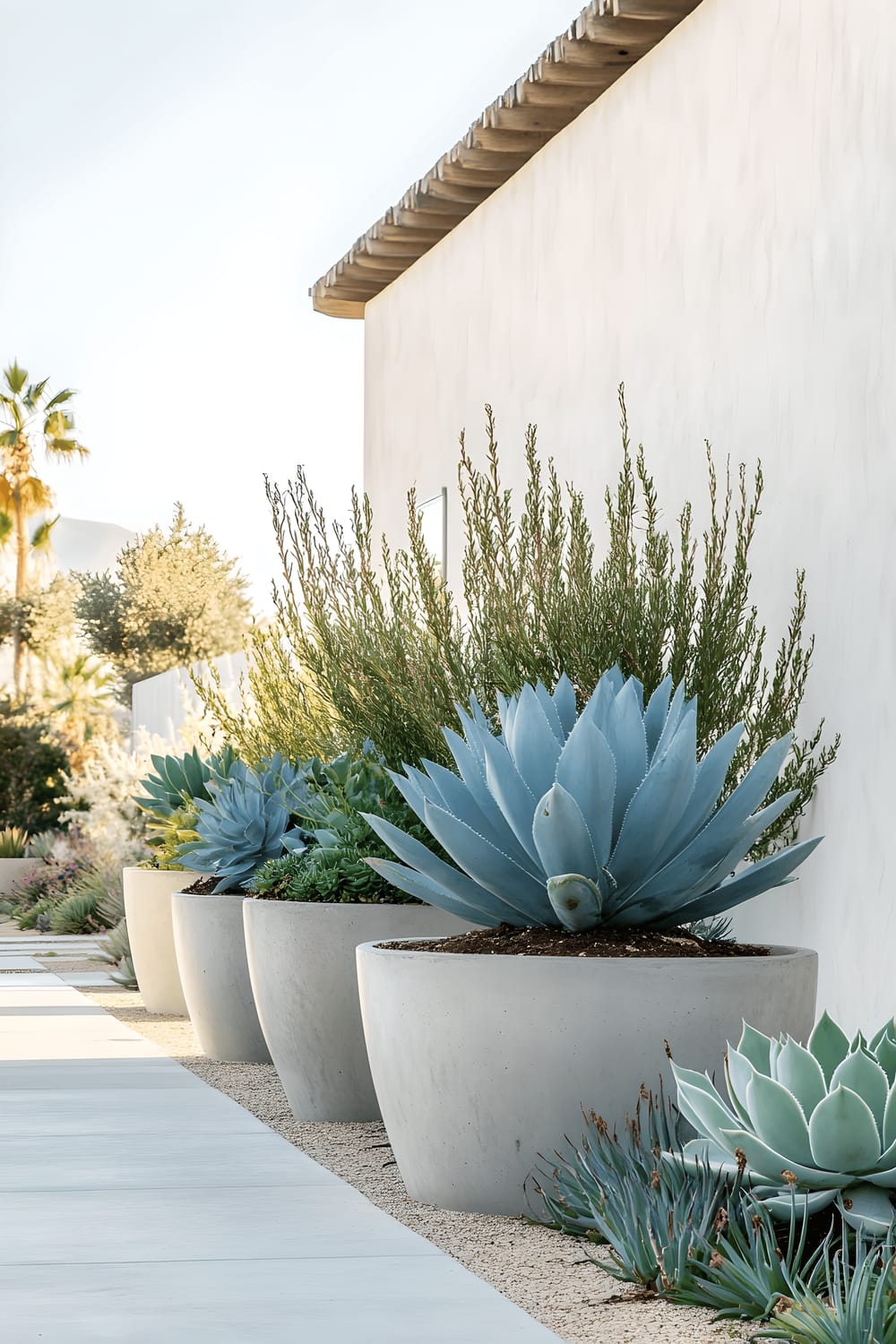 A row of tall concrete planters, each housing a combination of different succulents including blue agave, echeveria, and trailing donkey’s tail, set against a white stucco wall, embodying a modern desert garden aesthetic.